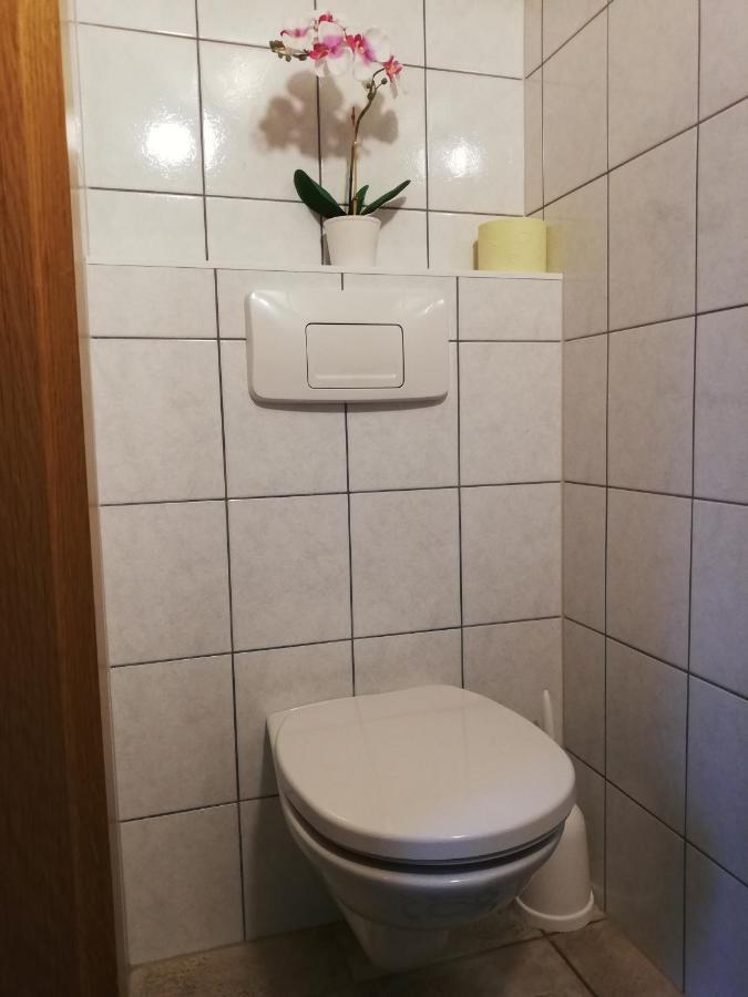 Apartment Natur Herz Хаус-им-Энншталь Экстерьер фото
